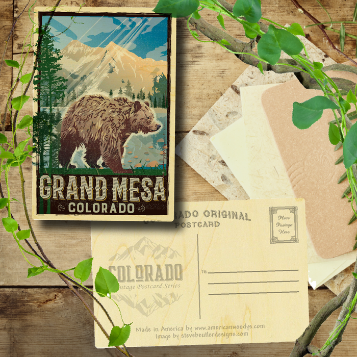 Grand Mesa Bear