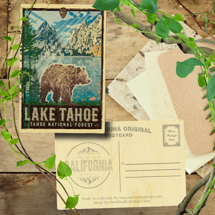 Lake Tahoe Bear