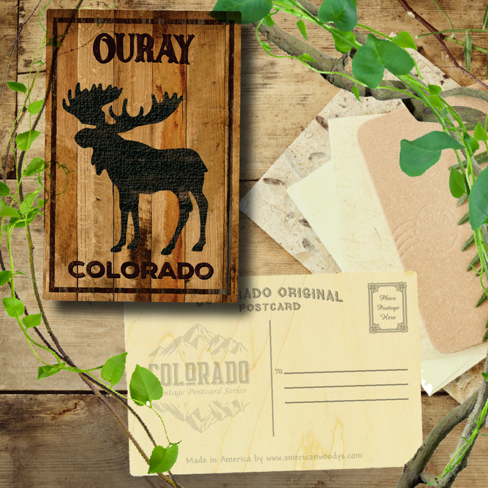 Ouray Standing Moose