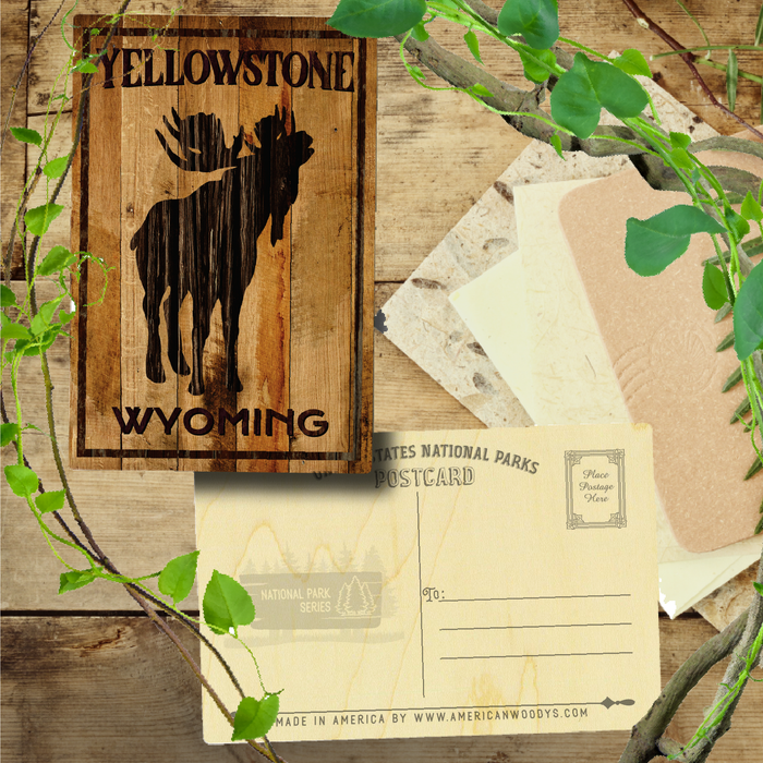 Yellowstone Bellowing Moose