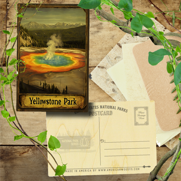 Yellowstone Park Geyser