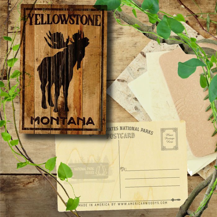 Yellowstone Bellowing Moose - Montana