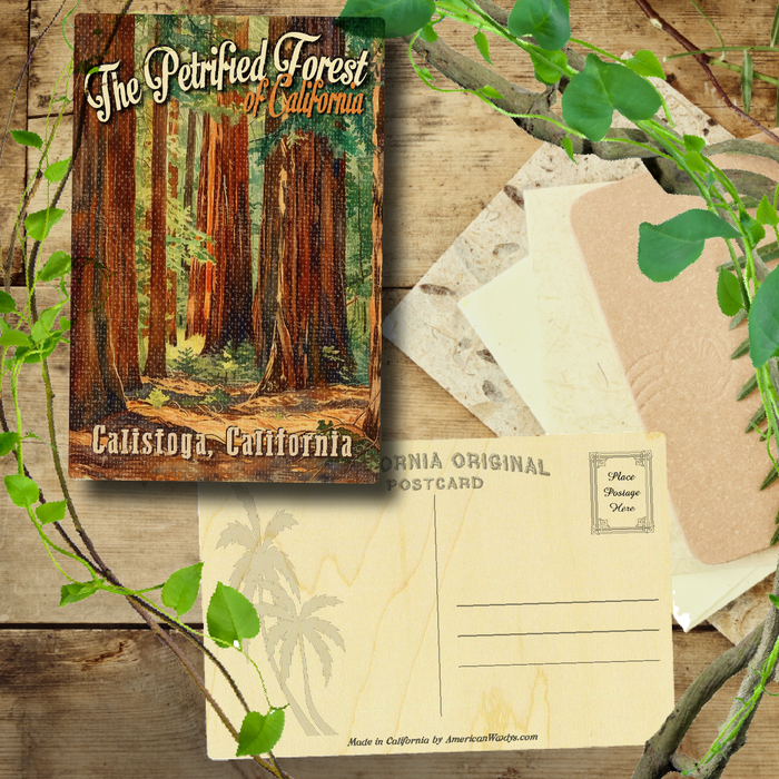 The Petrified Forest Calistoga
