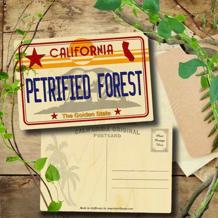 CA License Plate Petrified Forest