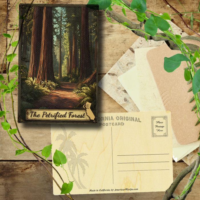 CA Petrified Forest Walk