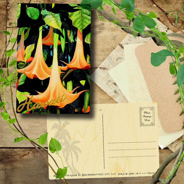 Angel's Trumpet