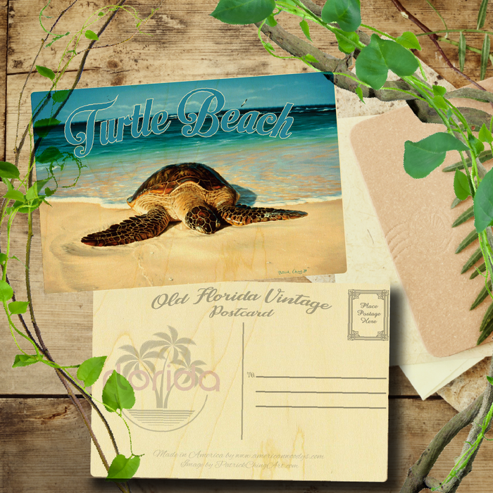 Green Peace Turtle Beach