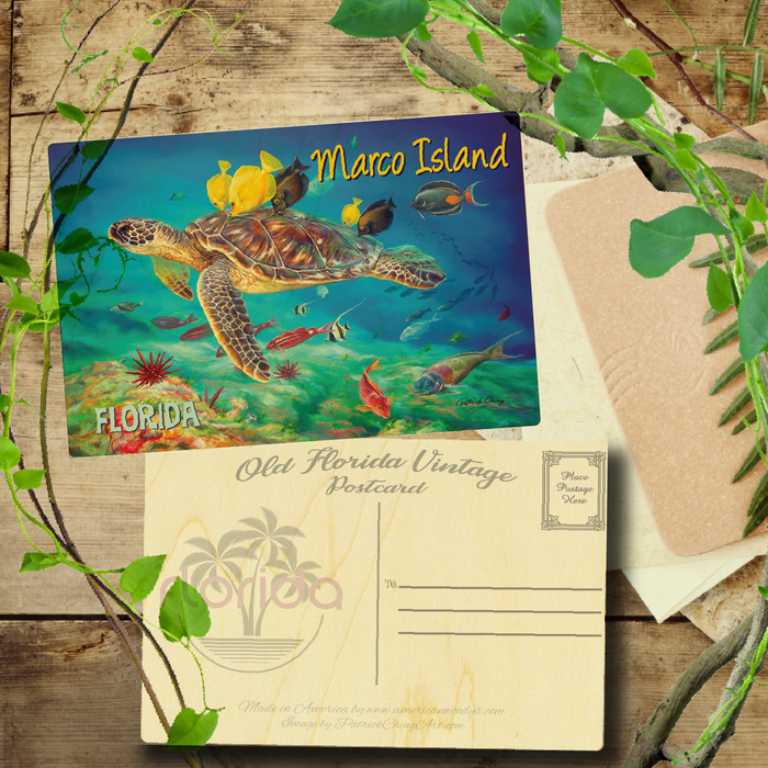 Undersea Kisses Marco Island