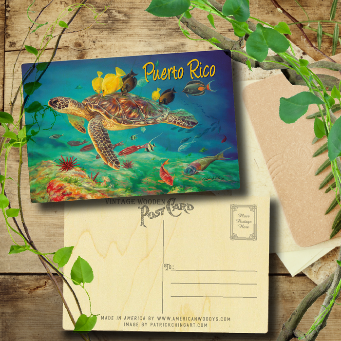 Undersea Kisses Puerto Rico