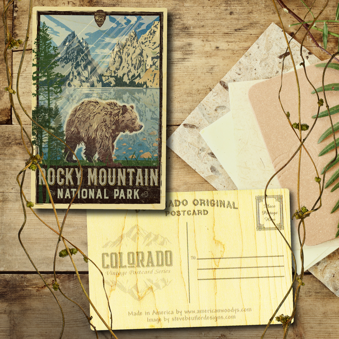 Rocky Mtn National Park Bear Postcard