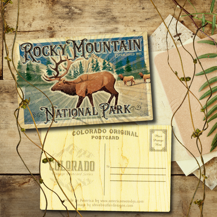 Rocky Mtn National Park Elk Postcard