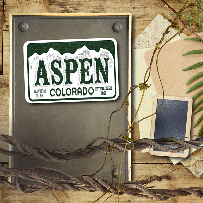 Aspen License Plate Magnet