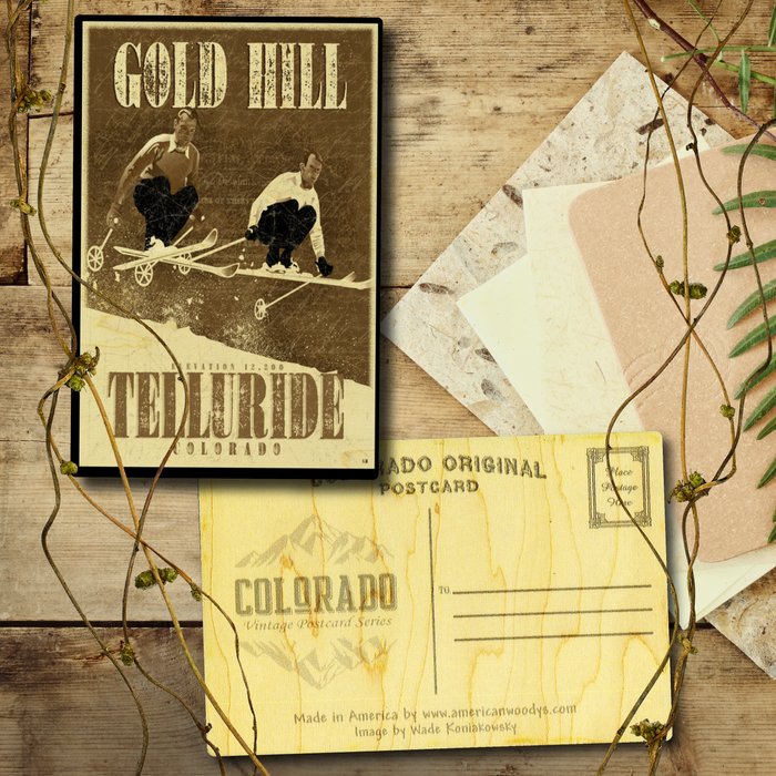 Telluride Air Two Postcard