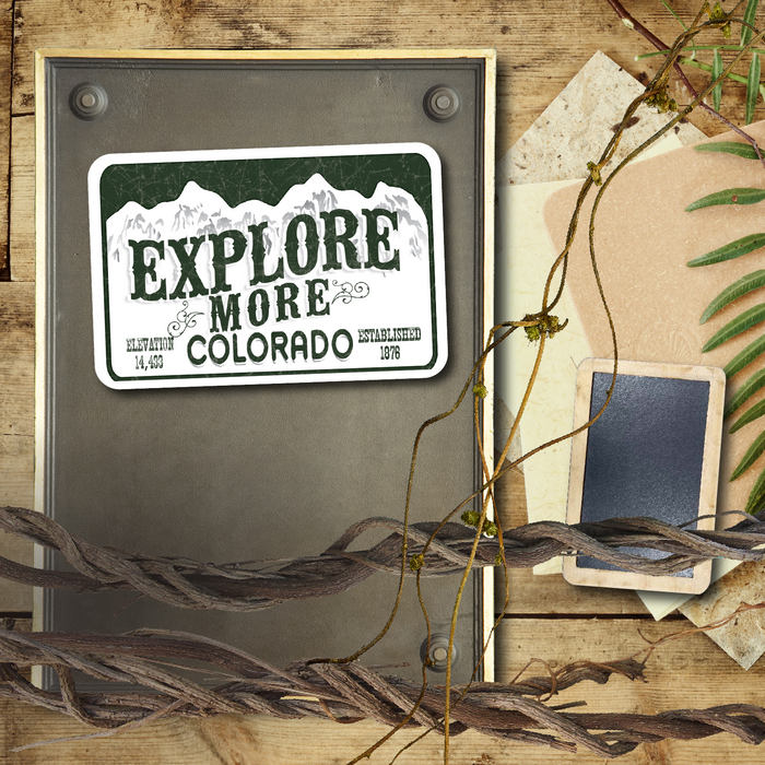 Explore More License Plate Magnet