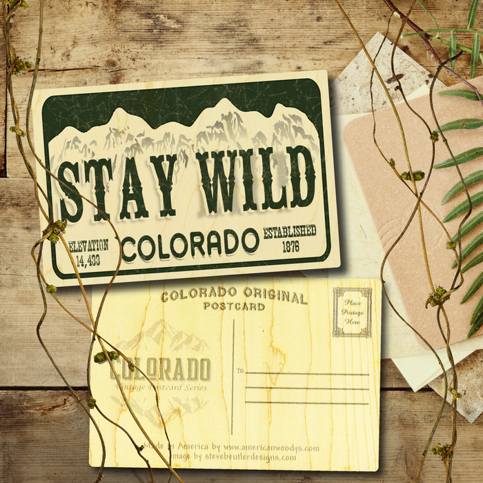 Stay Wild License Plate Postcard