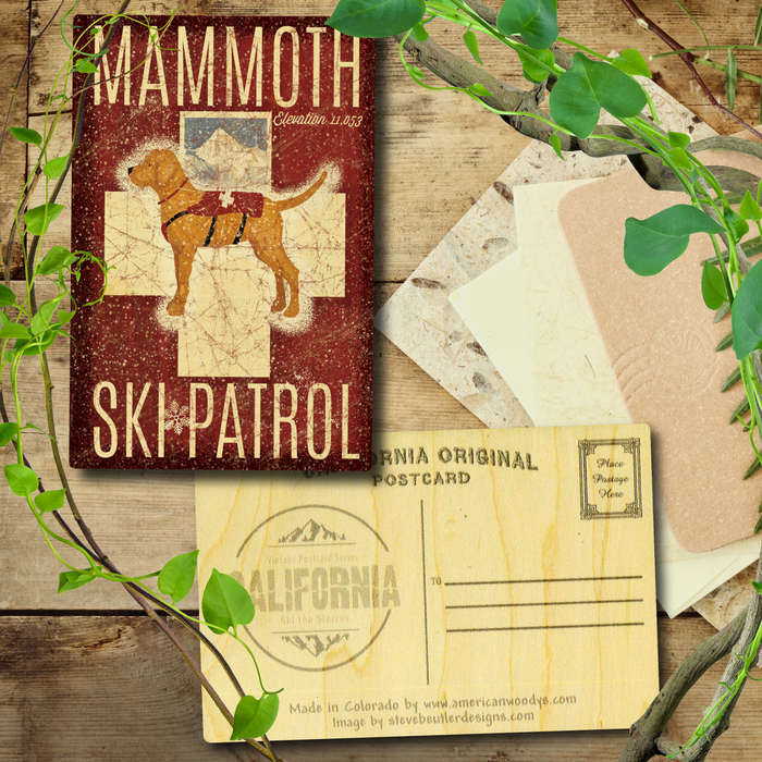 Mammoth Ski Patrol Postcard