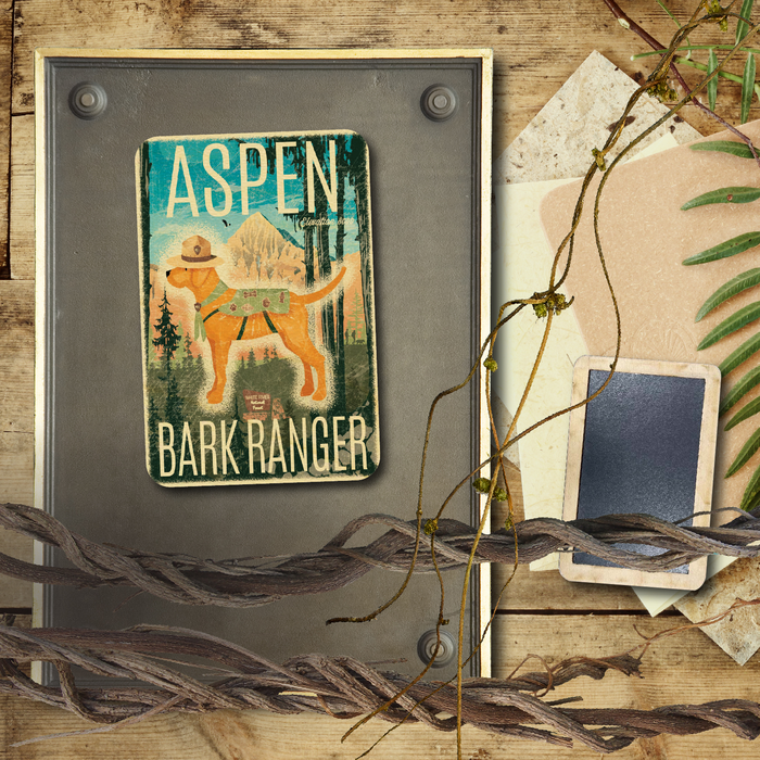 Aspen Bark Ranger Magnet