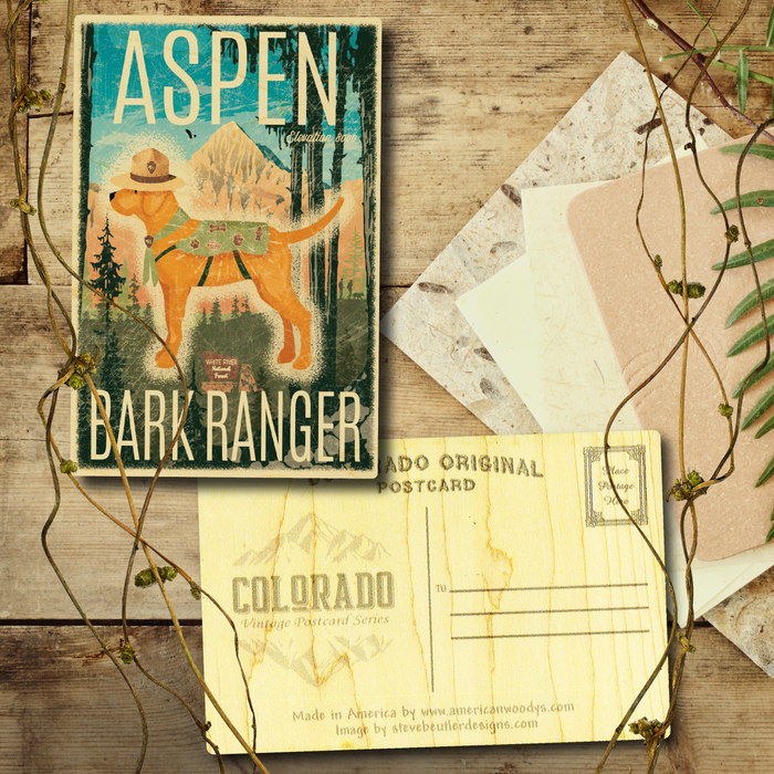 Aspen Bark Ranger Postcard