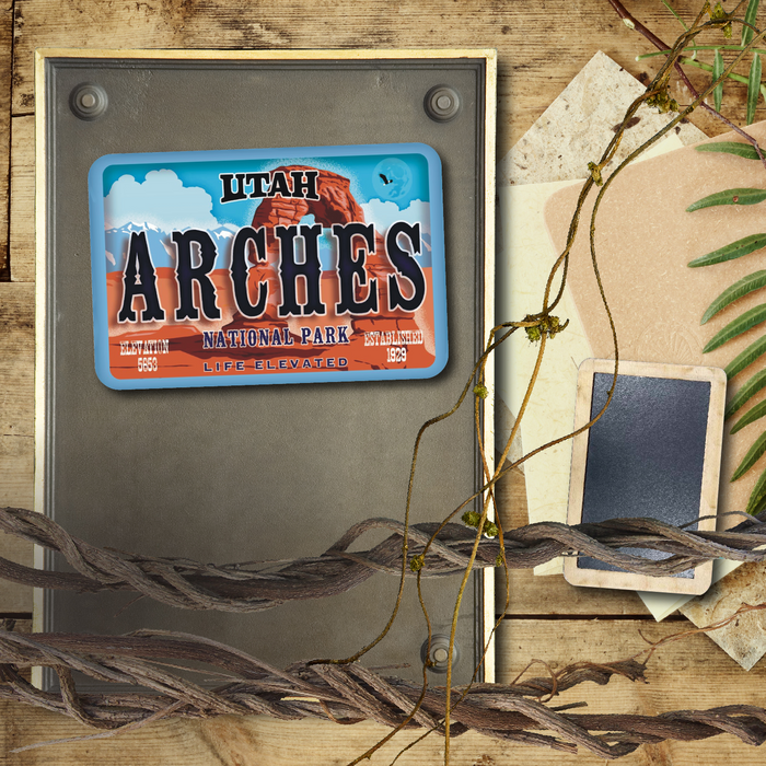 Arches License Plate Magnet