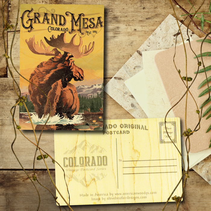 Grand Mesa Moose Postcard