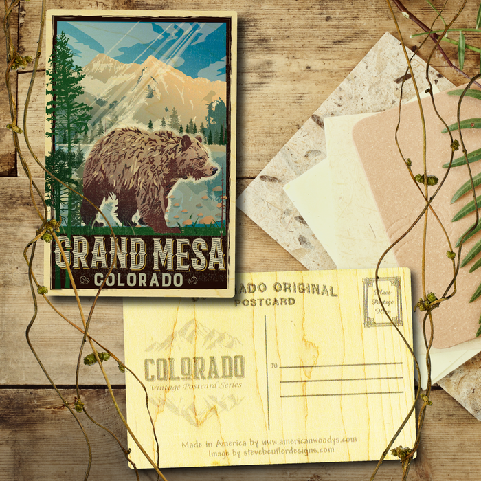 Grand Mesa Bear Postcard