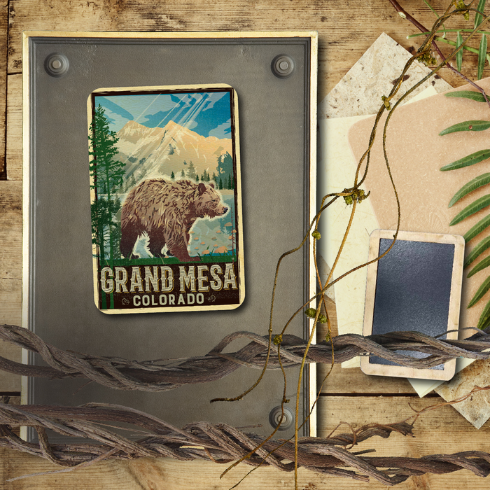 Grand Mesa Bear Magnet