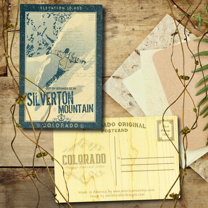 Snowboarder Silverton Postcard