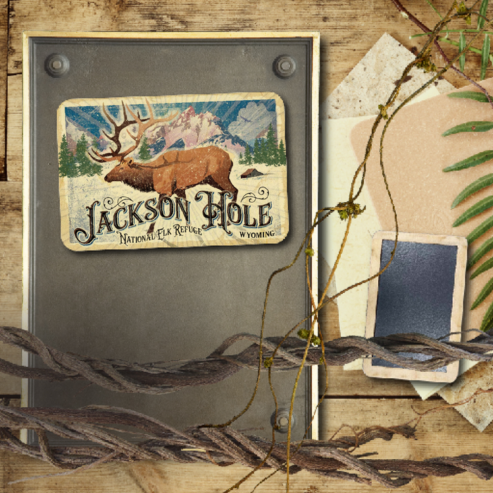 Jackson Hole Elk Refuge