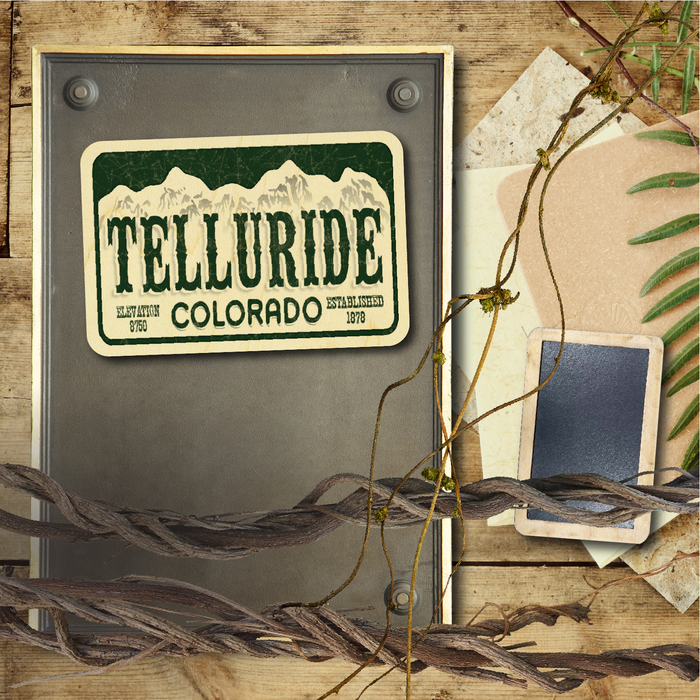 Telluride License Plate