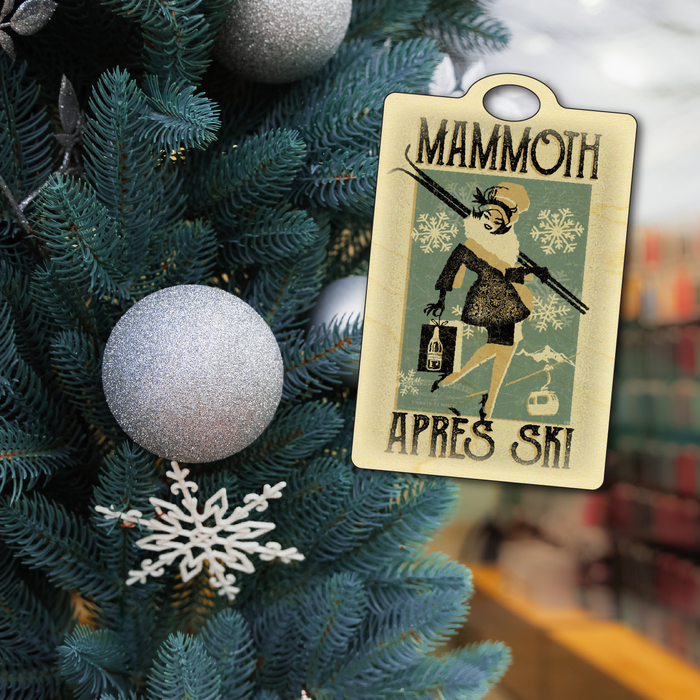 Mammoth Apres Ski 2