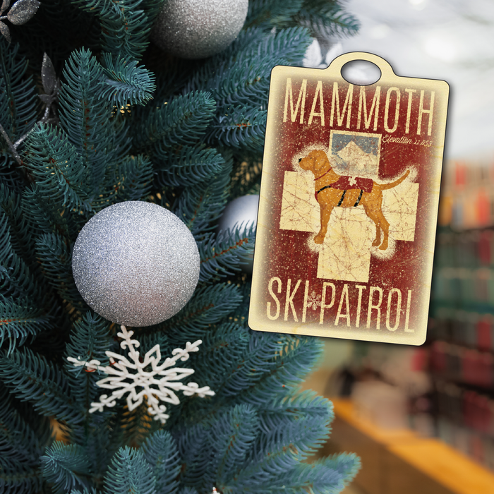 Mammoth Ski Patrol