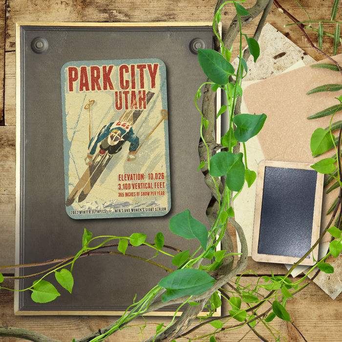 Park City Ski Racer