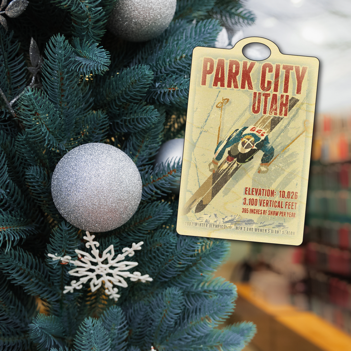 Park City Ski Racer