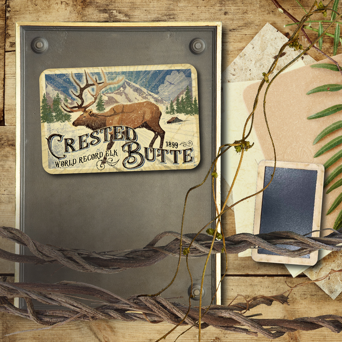 Crested Butte Reccord Elk