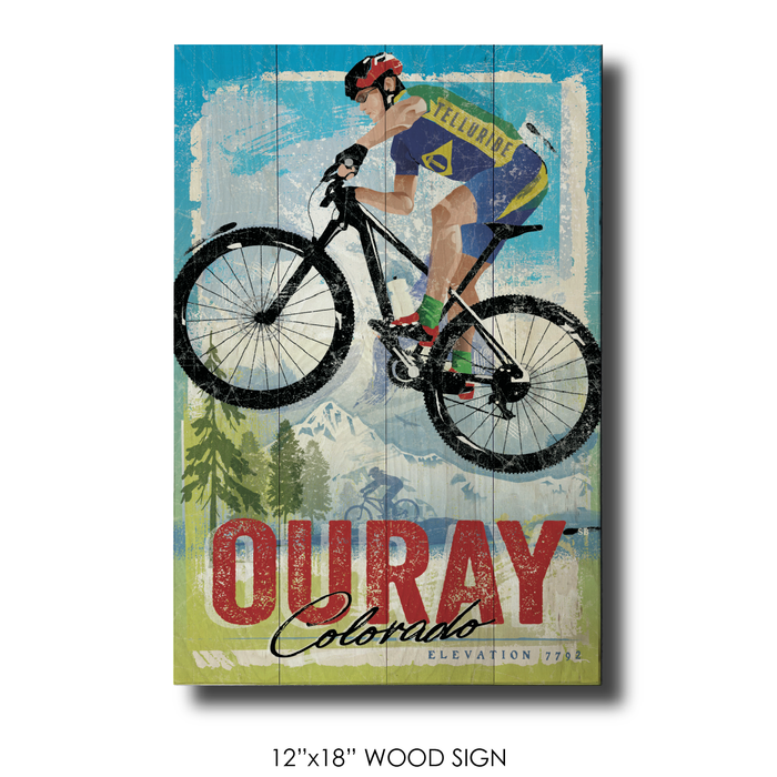 Ouray Bike Park