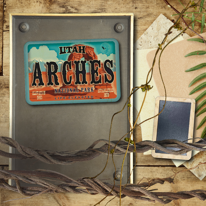 Arches License Plate
