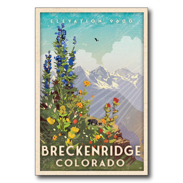 Breckenridge Wildflowers
