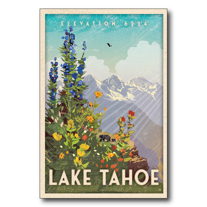 Lake Tahoe Sans Cali Wildflowers