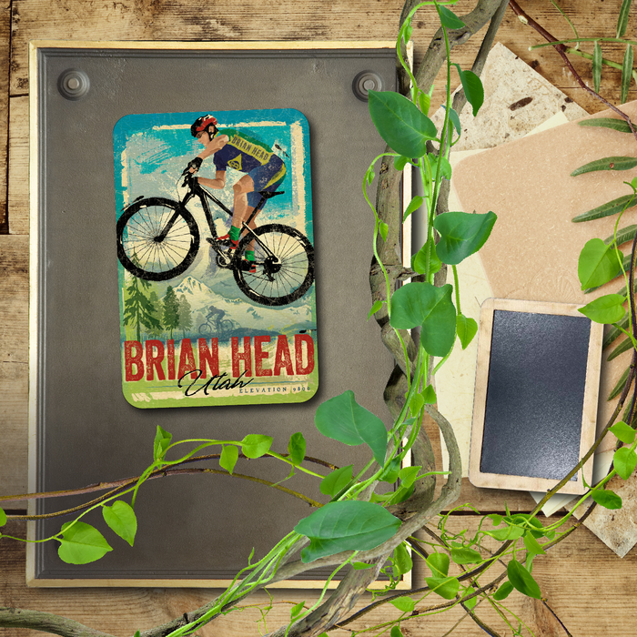 Brian Head Mountain Bike