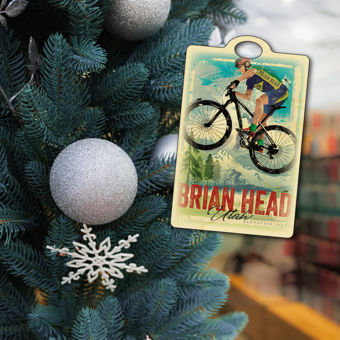 Brian Head Mountain Bike