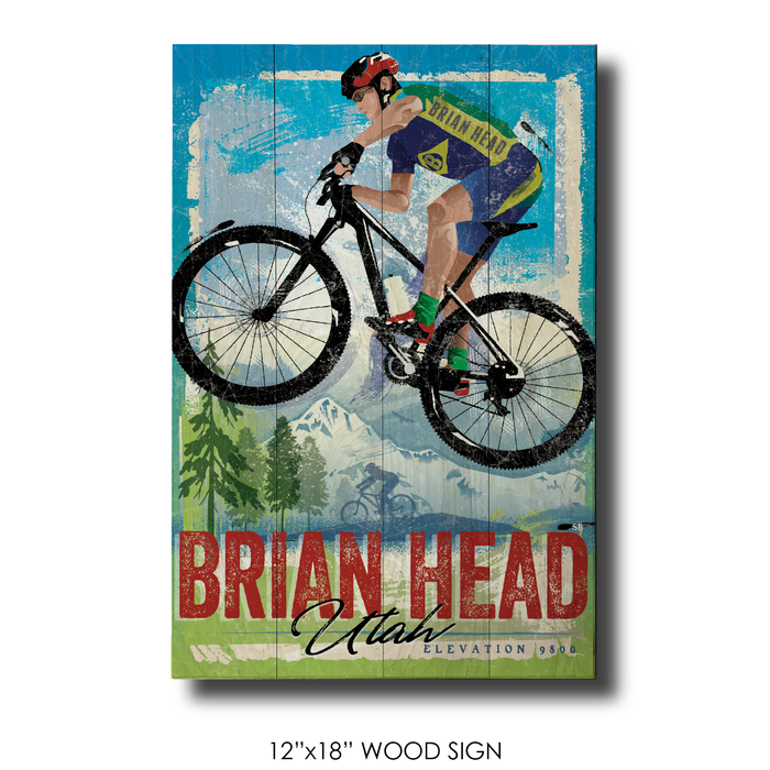 Brian Head Mountain Bike