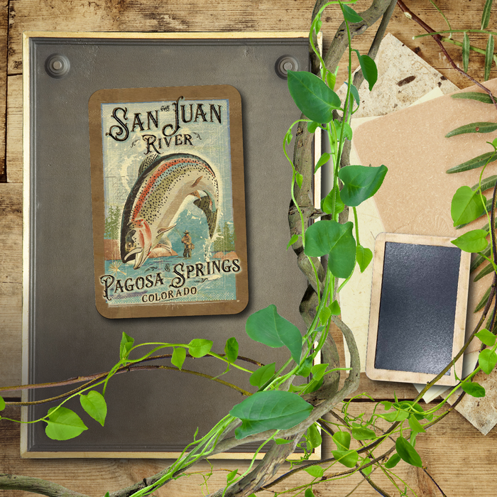 Fly Fishing Poster San Juan Pagosa