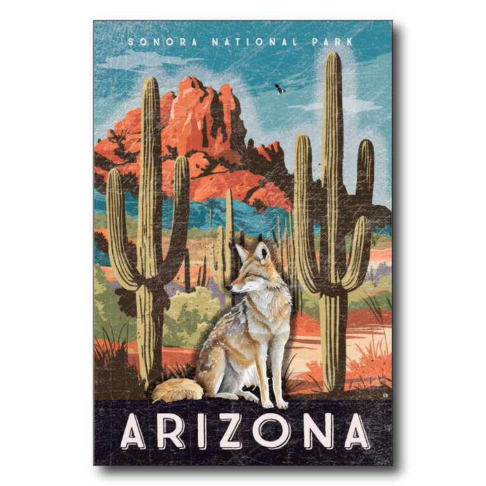 Arizona Sonora Desert Coyote