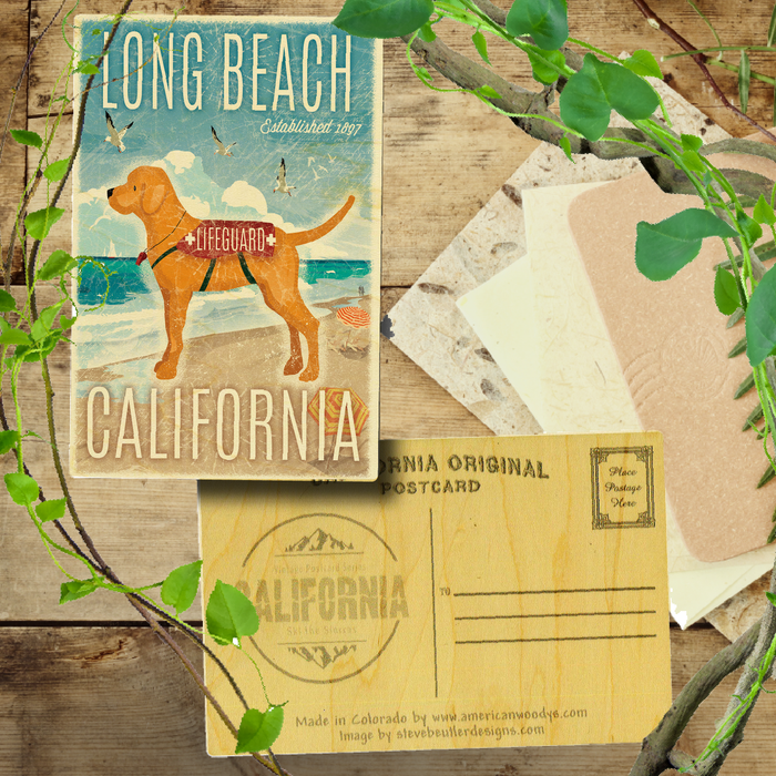 Long Beach Lifeguard Dog