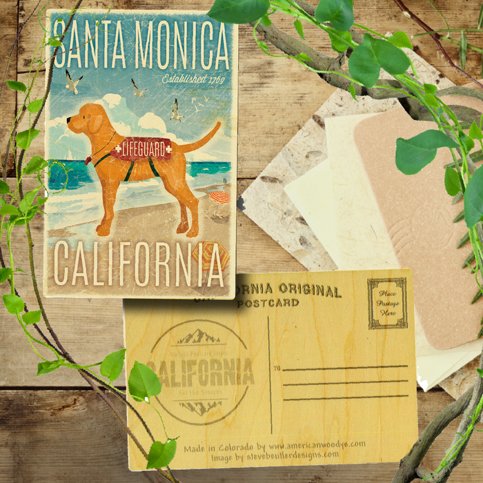 Santa Monica Lifeguard Dog