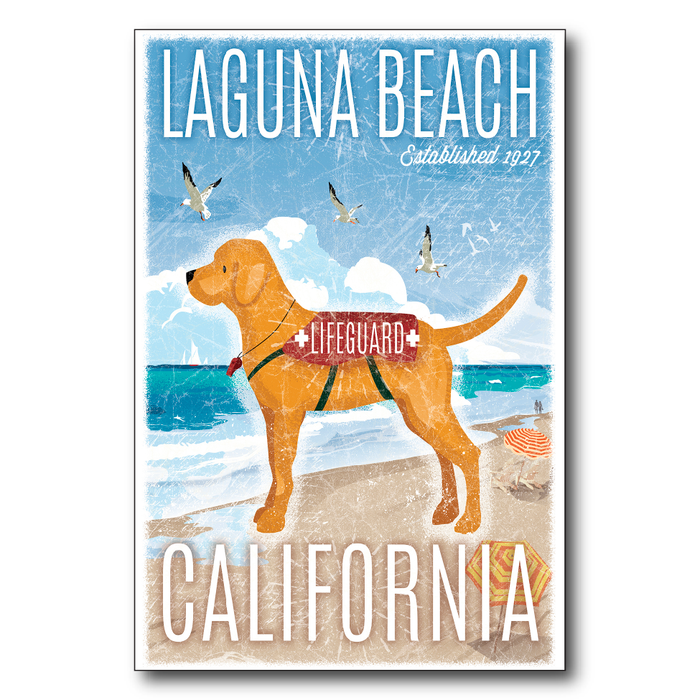 Laguna Beach Lifeguard Dog