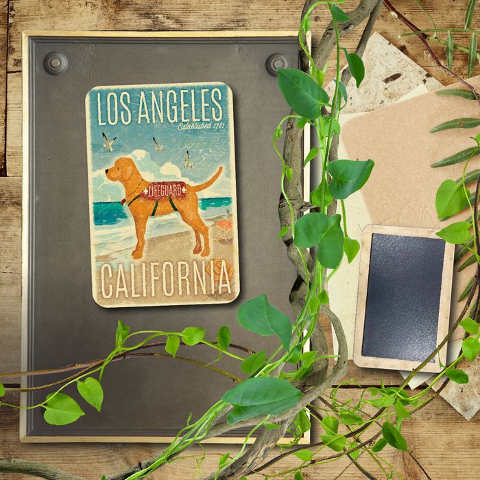 Los Angeles Lifeguard Dog