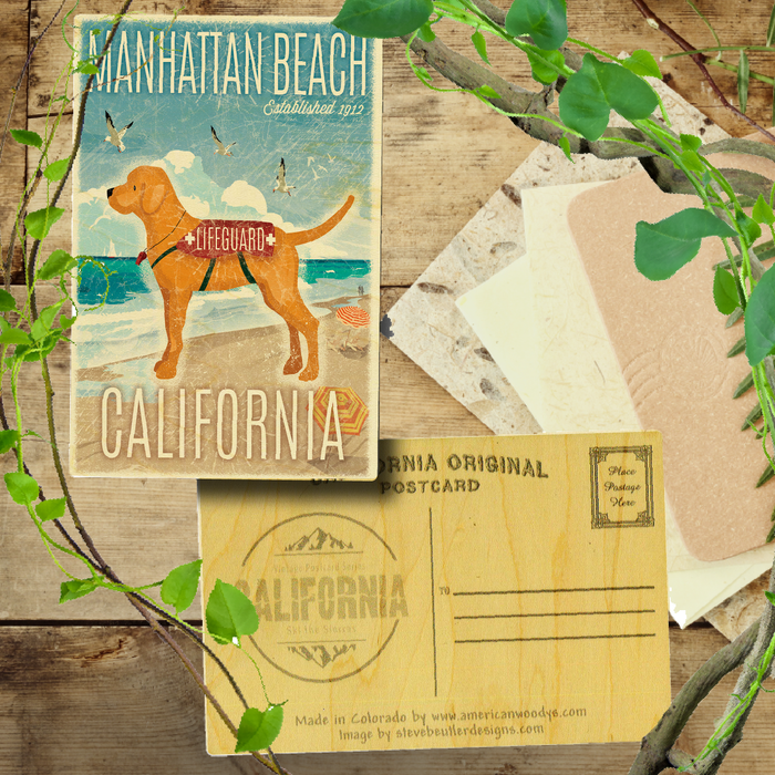 Manhattan Beach Lifeguard Dog