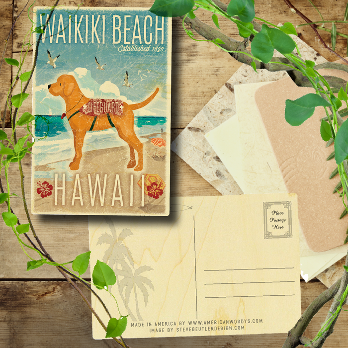 Waikiki Beach Lifeguard Dog