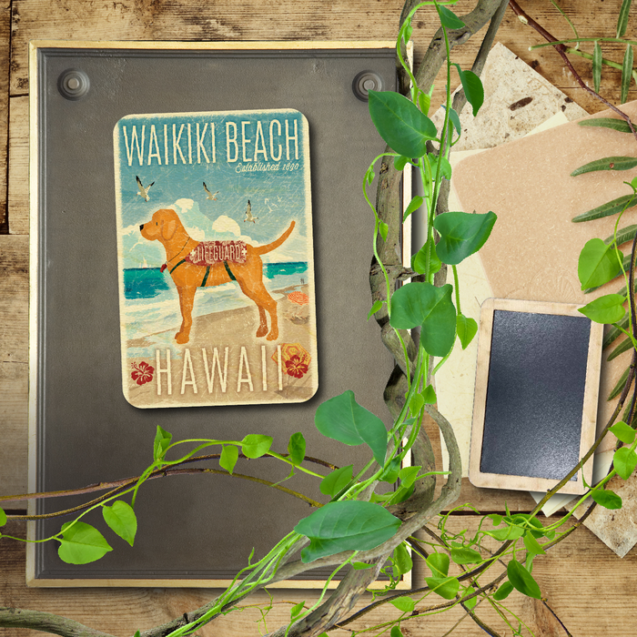 Waikiki Beach Lifeguard Dog